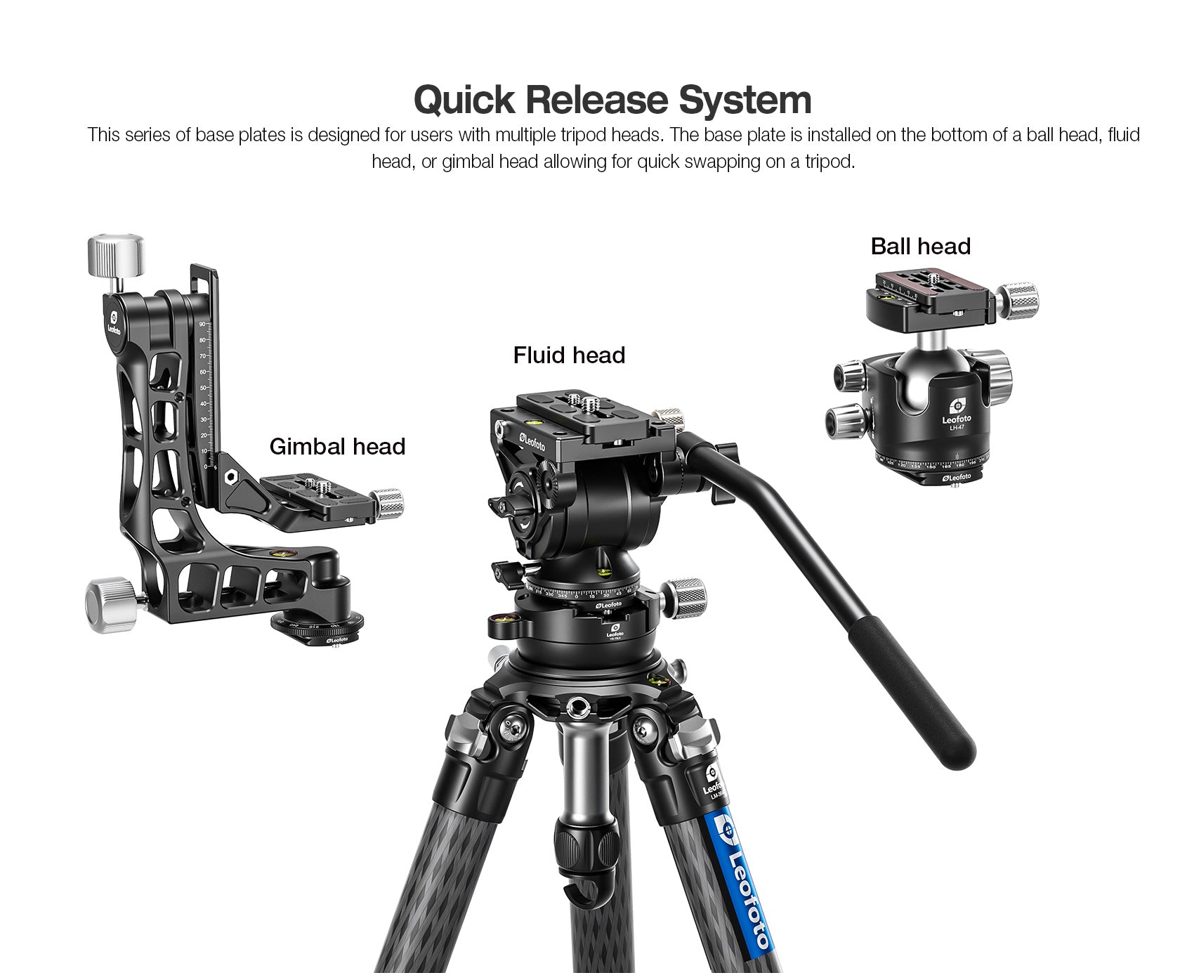 Leofoto P Series Arca-Type Base Plates for Heads