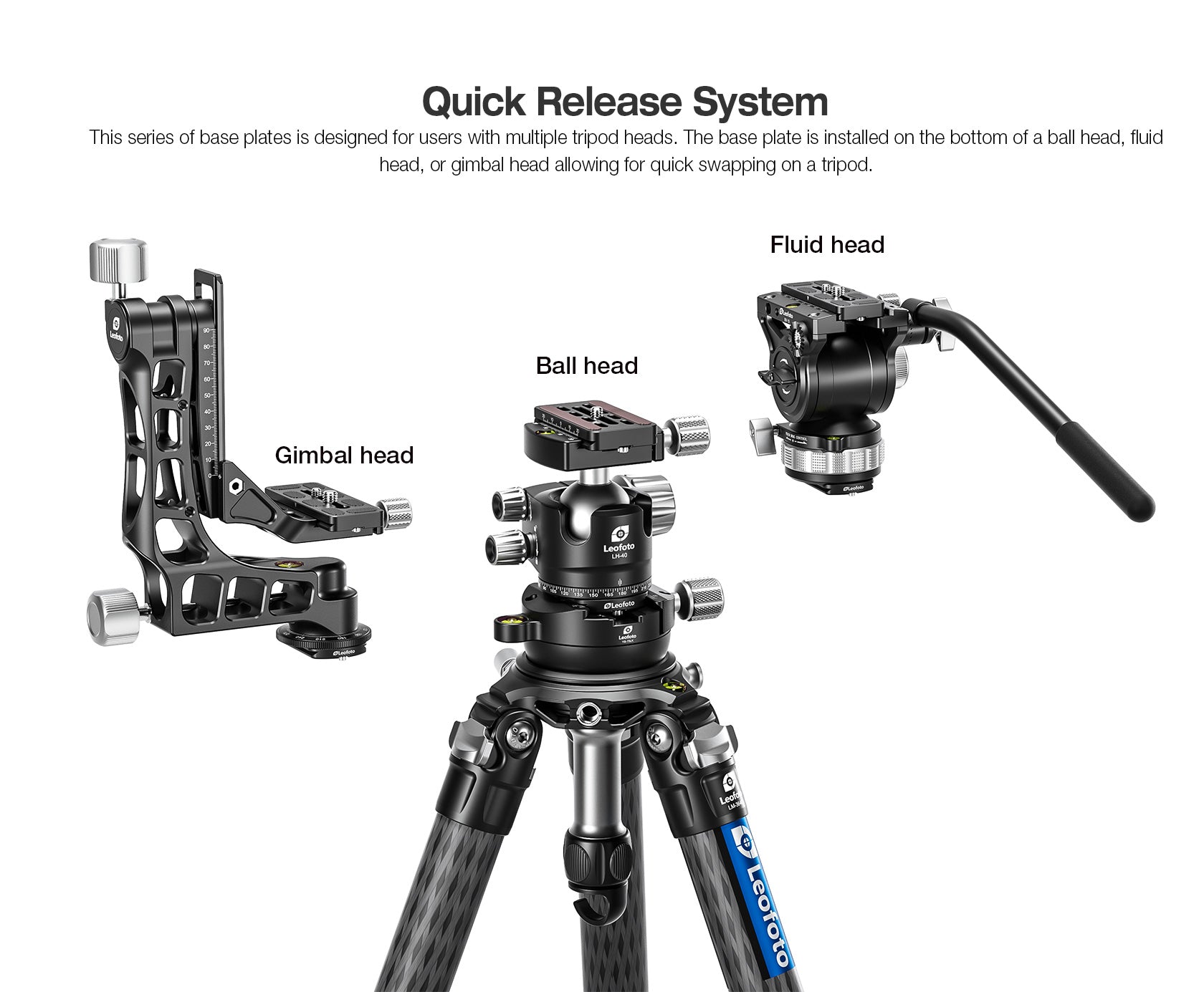 Leofoto P Series Arca-Type Base Plates for Heads