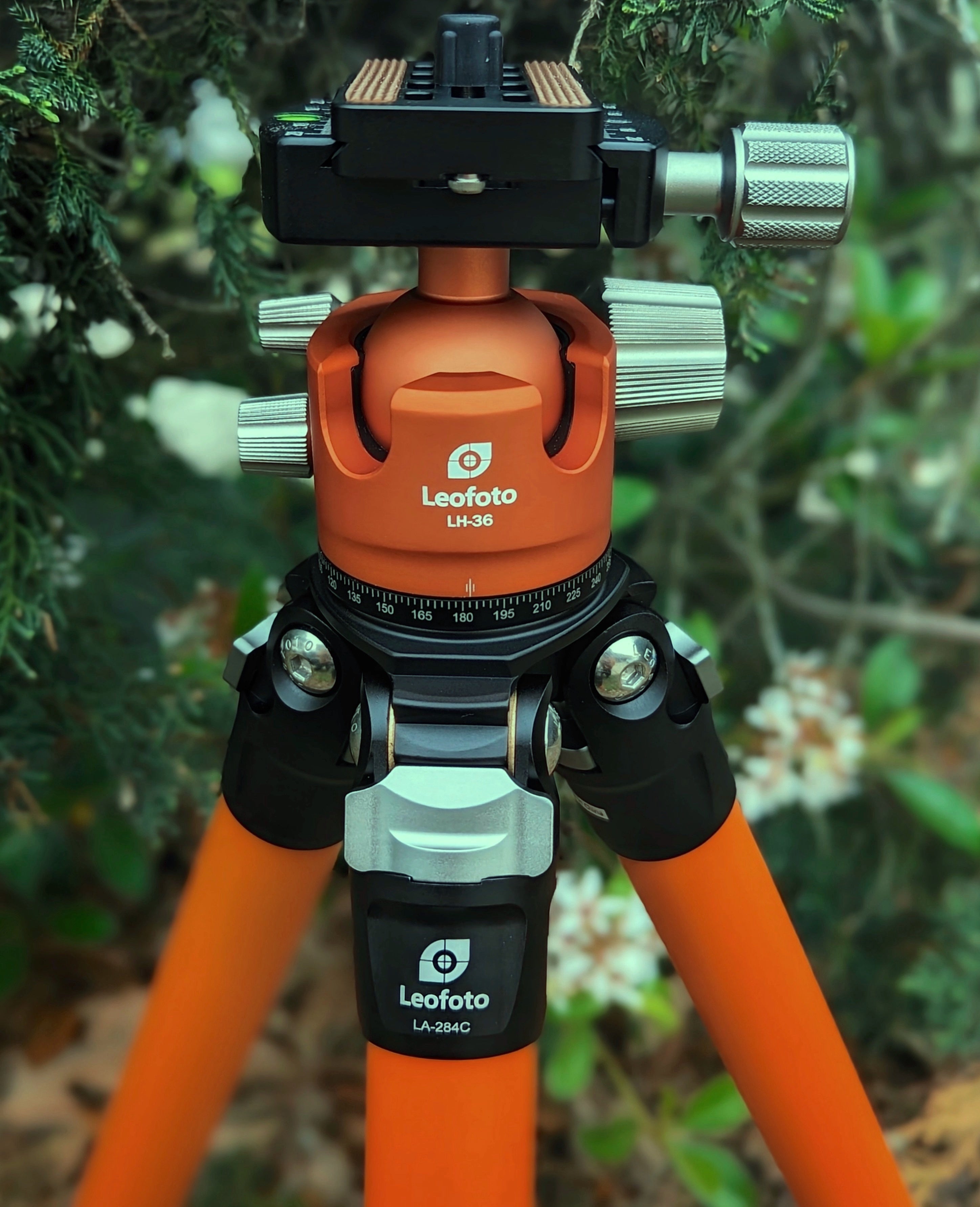 Leofoto LA-284C+LH-36 (Limited Edition Orange/Teal) Ocean Tripod with Ballhead | Water and Corrosion Resistance