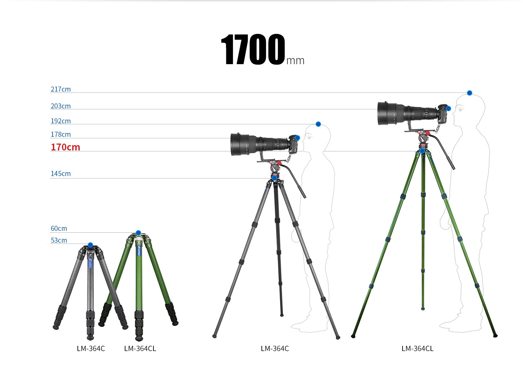 Leofoto LM-364CL(Long) Tripod with 75mm Video Bowl+Platform and Bag (Olive Green)