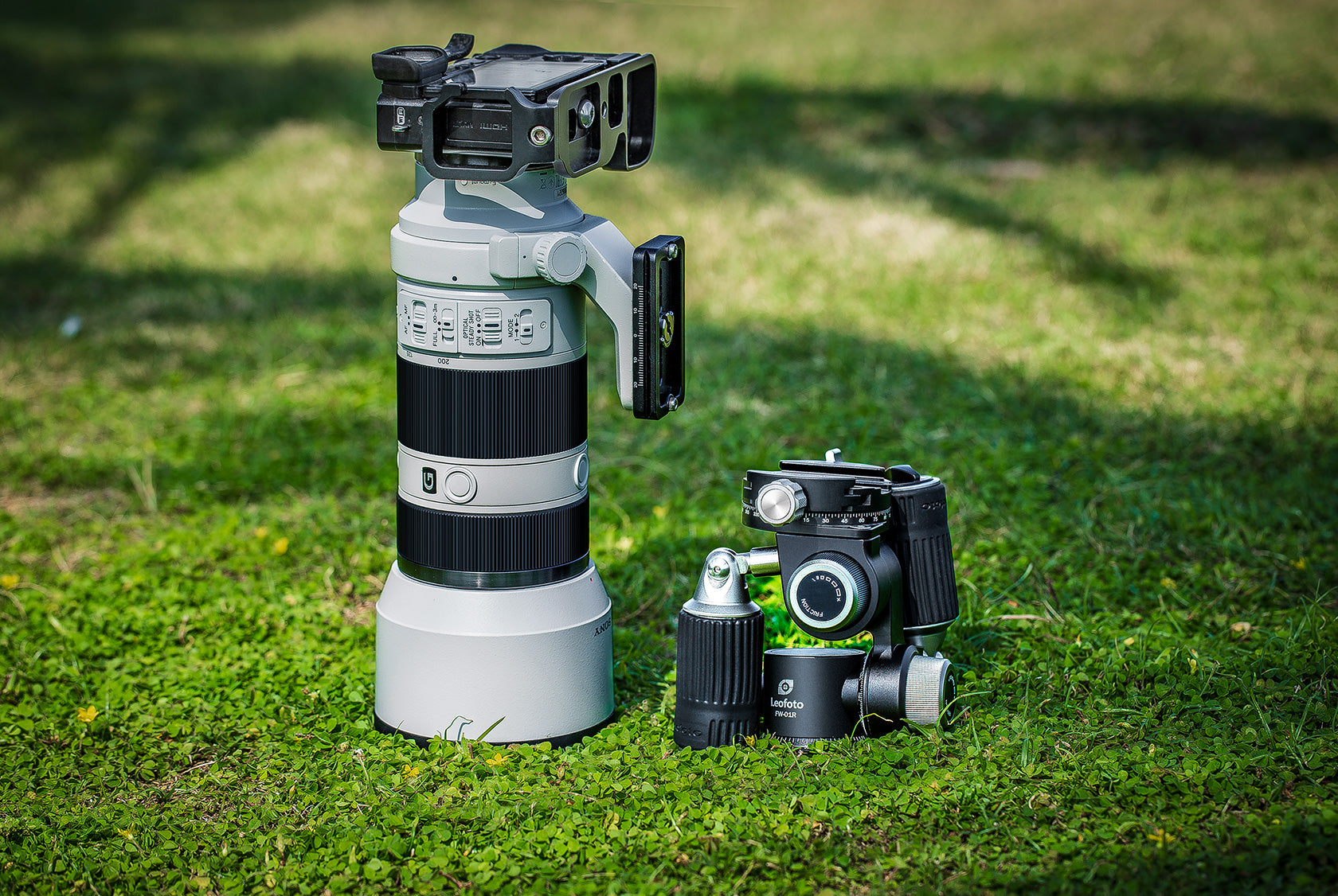 Leofoto FW-01R Professional Pan-and-Tilt 4-Way Head | Arca Compatible, Clamp Panning