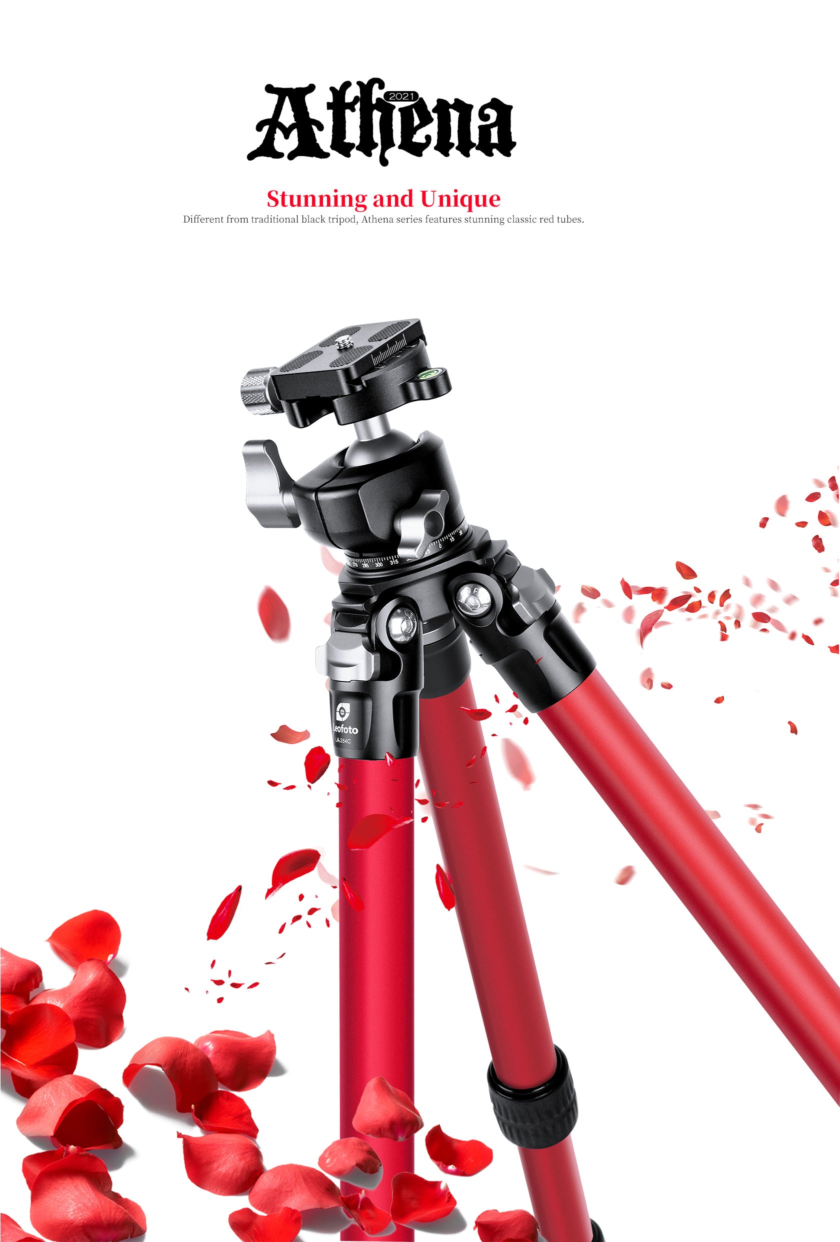 Leofoto LA-284C+LH-30/LR Athena Ocean Tripod with Ballhead | Anti-Corrosion with Titanium Foot Spike