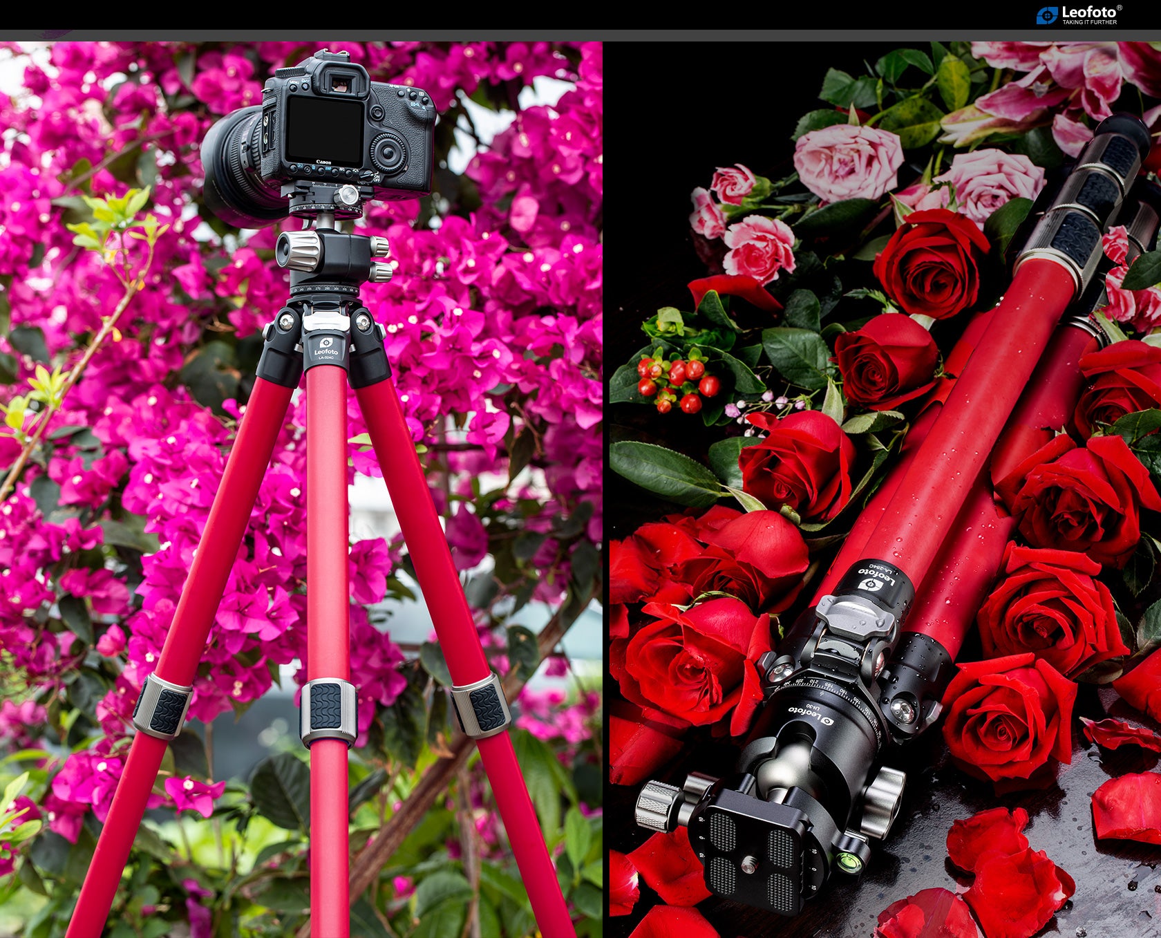 Leofoto LA-284C+LH-30/LR Athena Ocean Tripod with Ballhead | Anti-Corrosion with Titanium Foot Spike