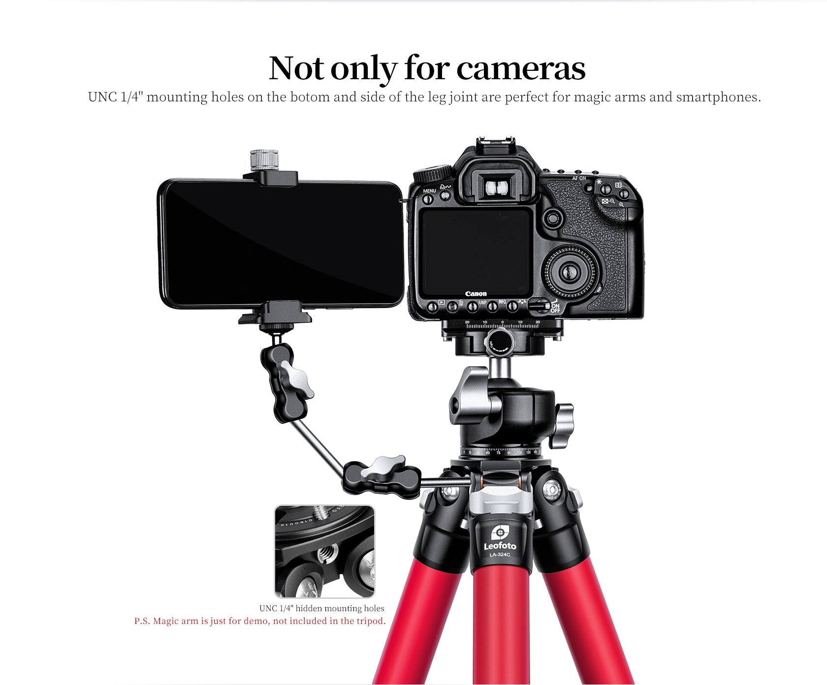 Leofoto LA-284C+LH-30/LR Athena Ocean Tripod with Ballhead | Anti-Corrosion with Titanium Foot Spike