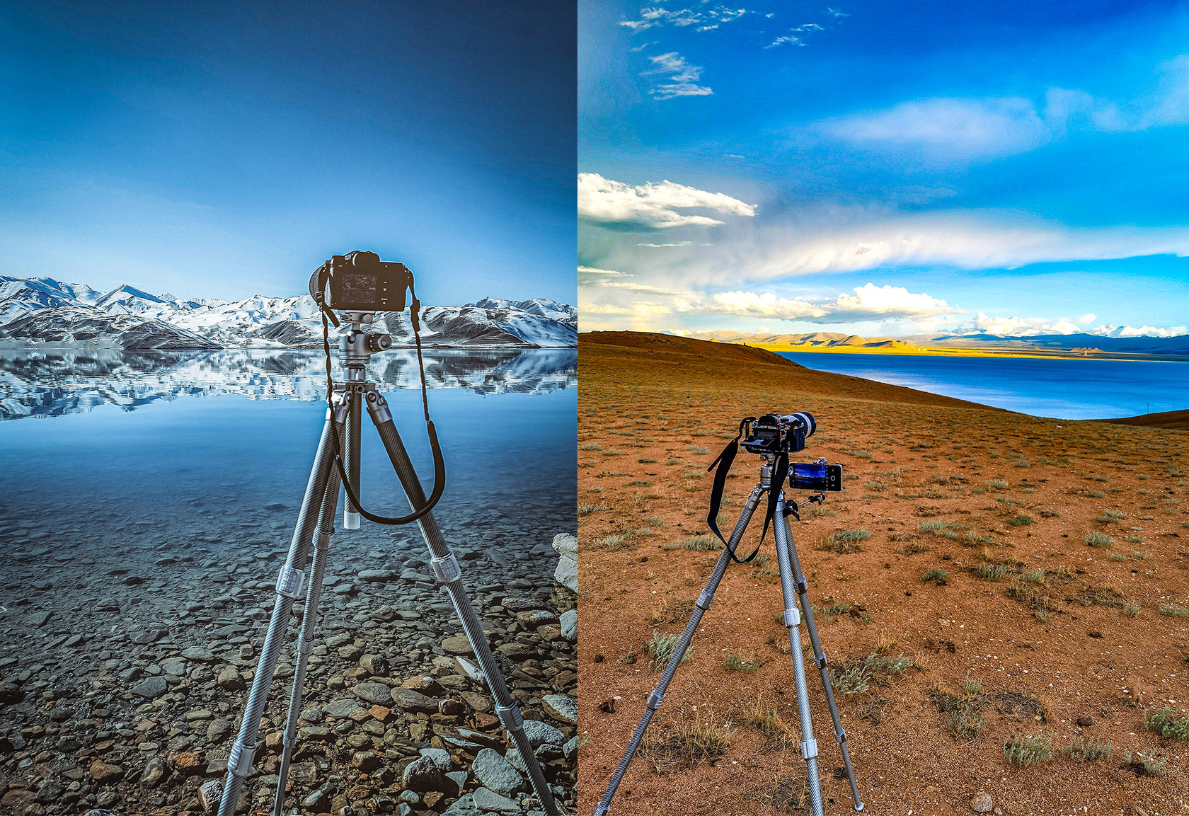 Leofoto LG-284C+LH-36(Silver) Premium Carbon Fiber Tripod Set with Quick Swap Center Column and Platform