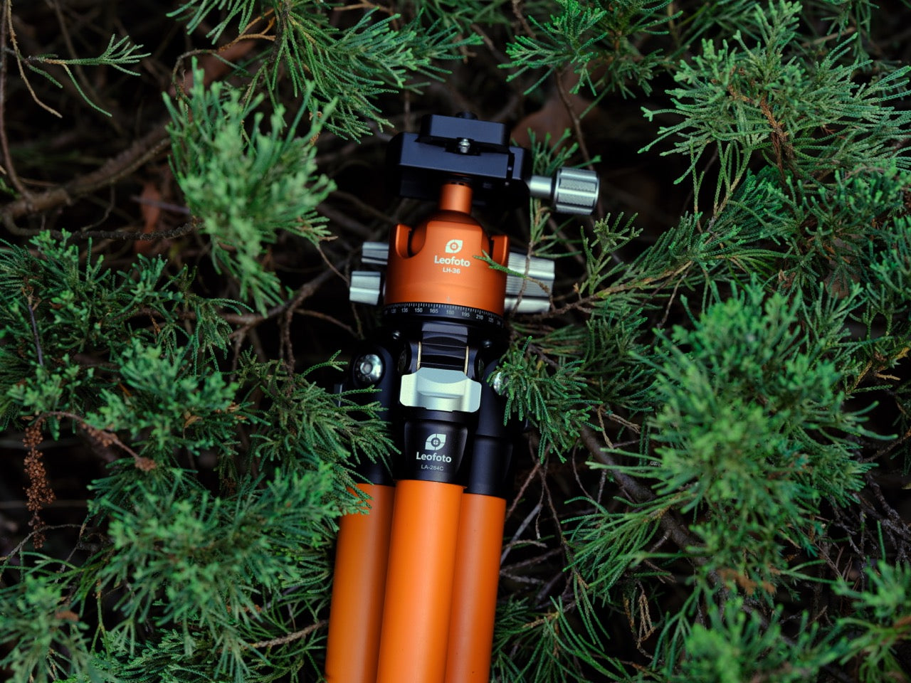 Leofoto LA-284C+LH-36 (Limited Edition Orange/Teal) Ocean Tripod with Ballhead | Water and Corrosion Resistance