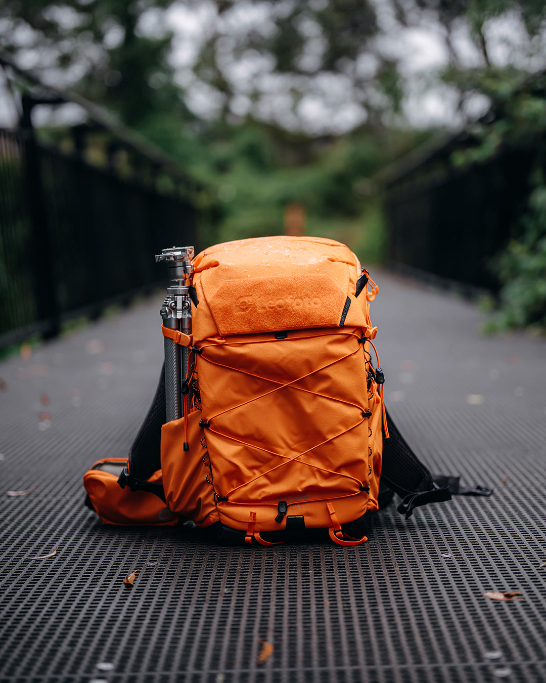 Leofoto 35L All-in-One Travel & Outdoor Camera Backpack (Black / Yellow / Green)