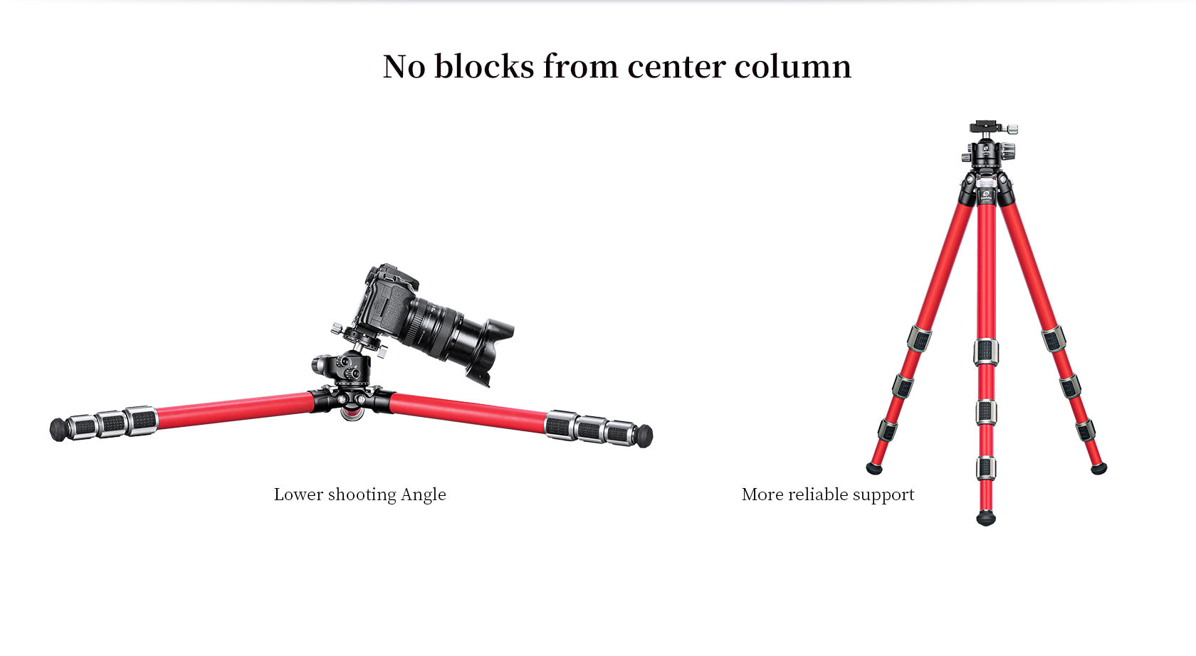 “Open Box" Leofoto LA-324C+LH-40LR Athena Ocean Tripod with Ballhead | Anti-Corrosion with Titanium Foot Spike