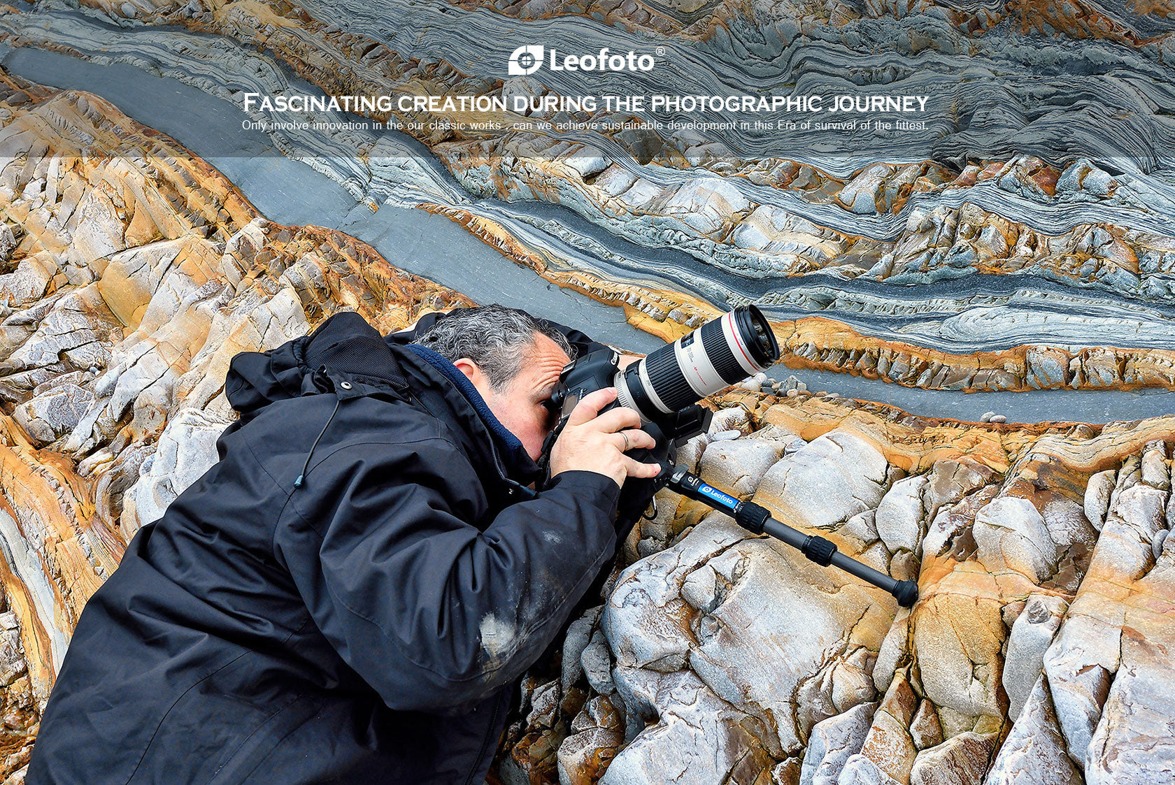 Leofoto LS-223C Tripod + EB-36 Ball Head Mini Professional Light Weight Carbon Fiber Tripod Kit