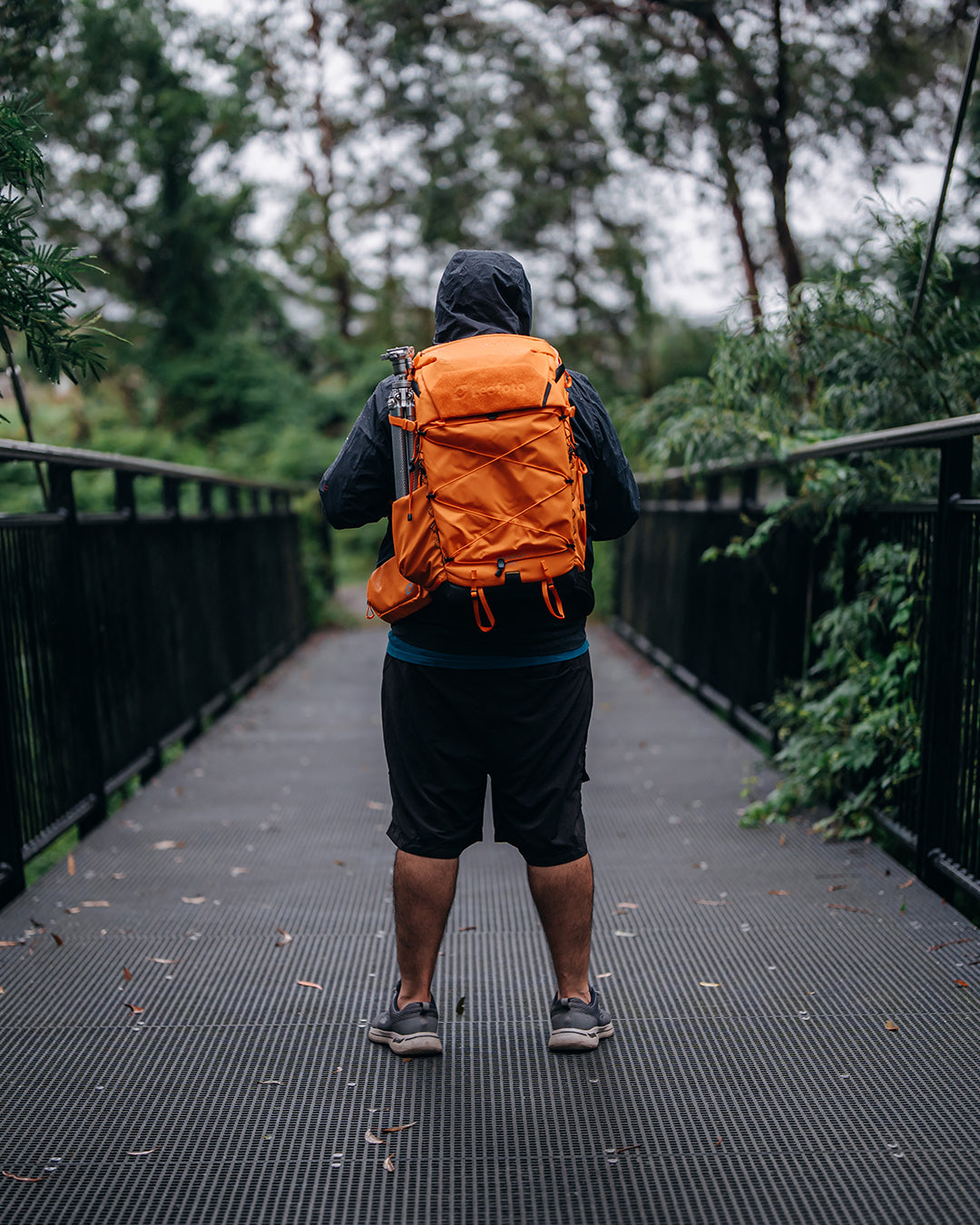 Leofoto 35L All-in-One Travel & Outdoor Camera Backpack (Black / Yellow / Green)