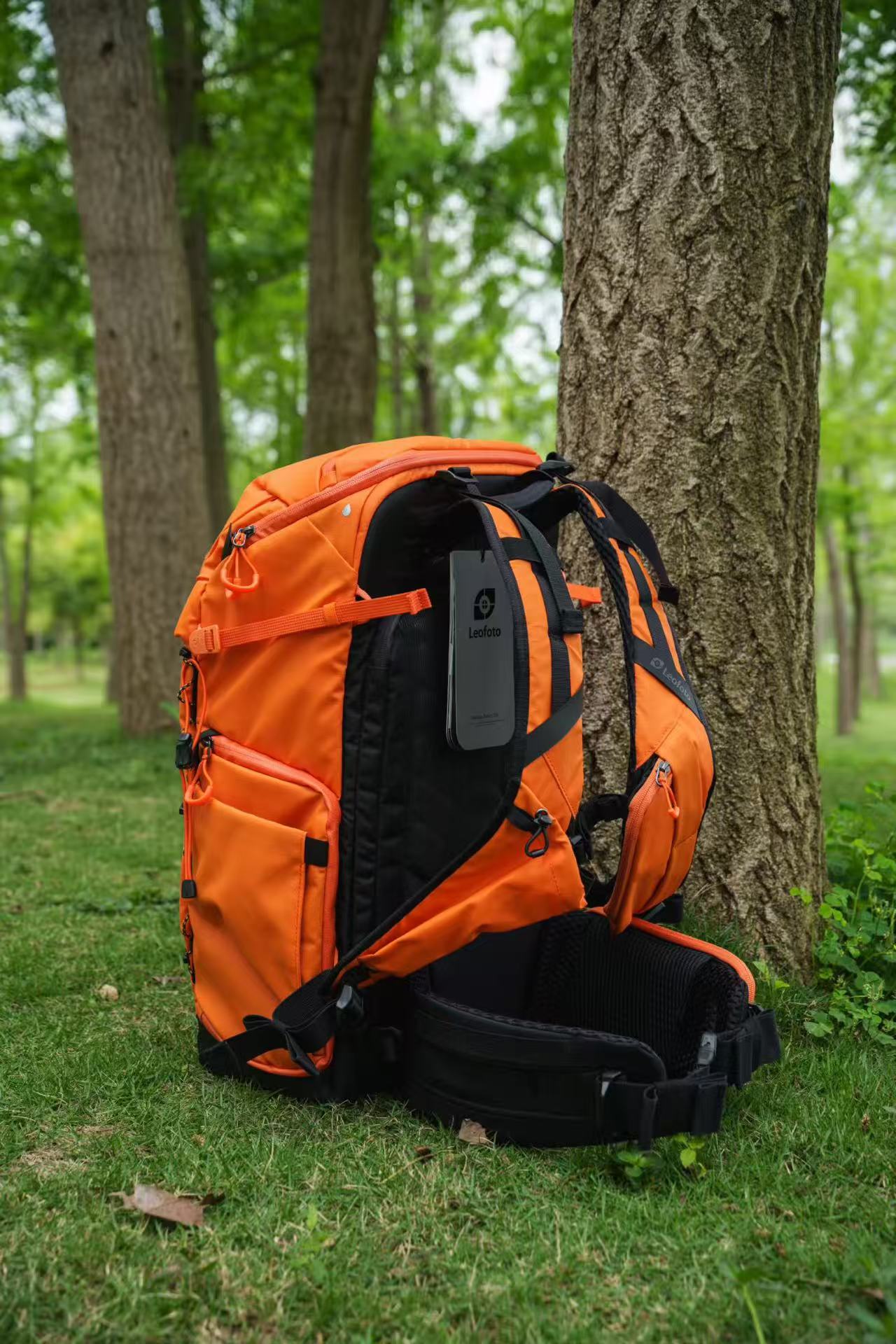 Leofoto 35L All-in-One Travel & Outdoor Camera Backpack (Black / Yellow / Green)