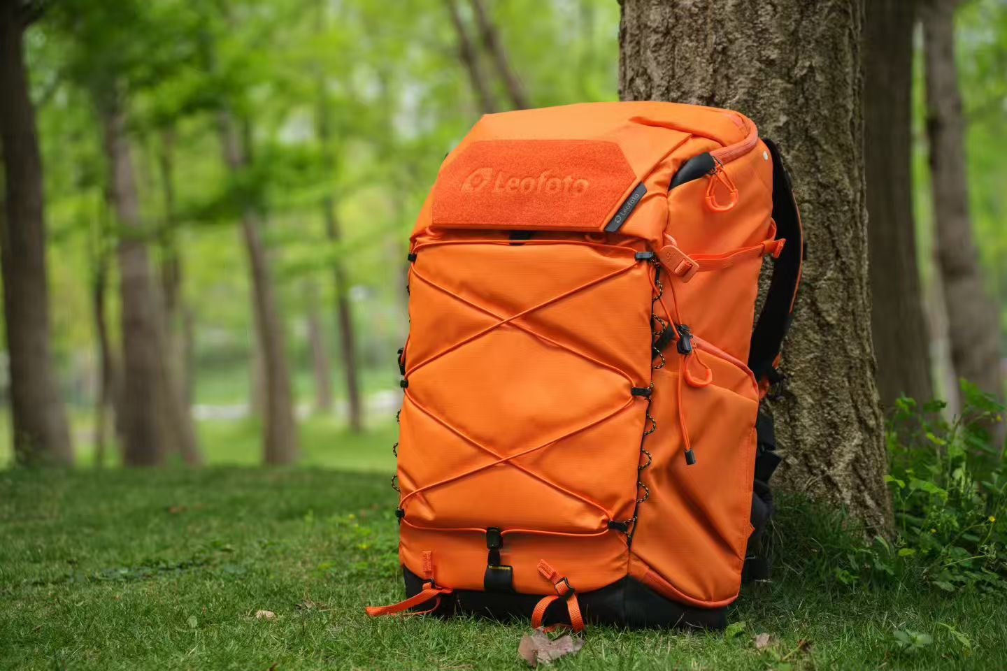Leofoto 35L All-in-One Travel & Outdoor Camera Backpack (Black / Yello