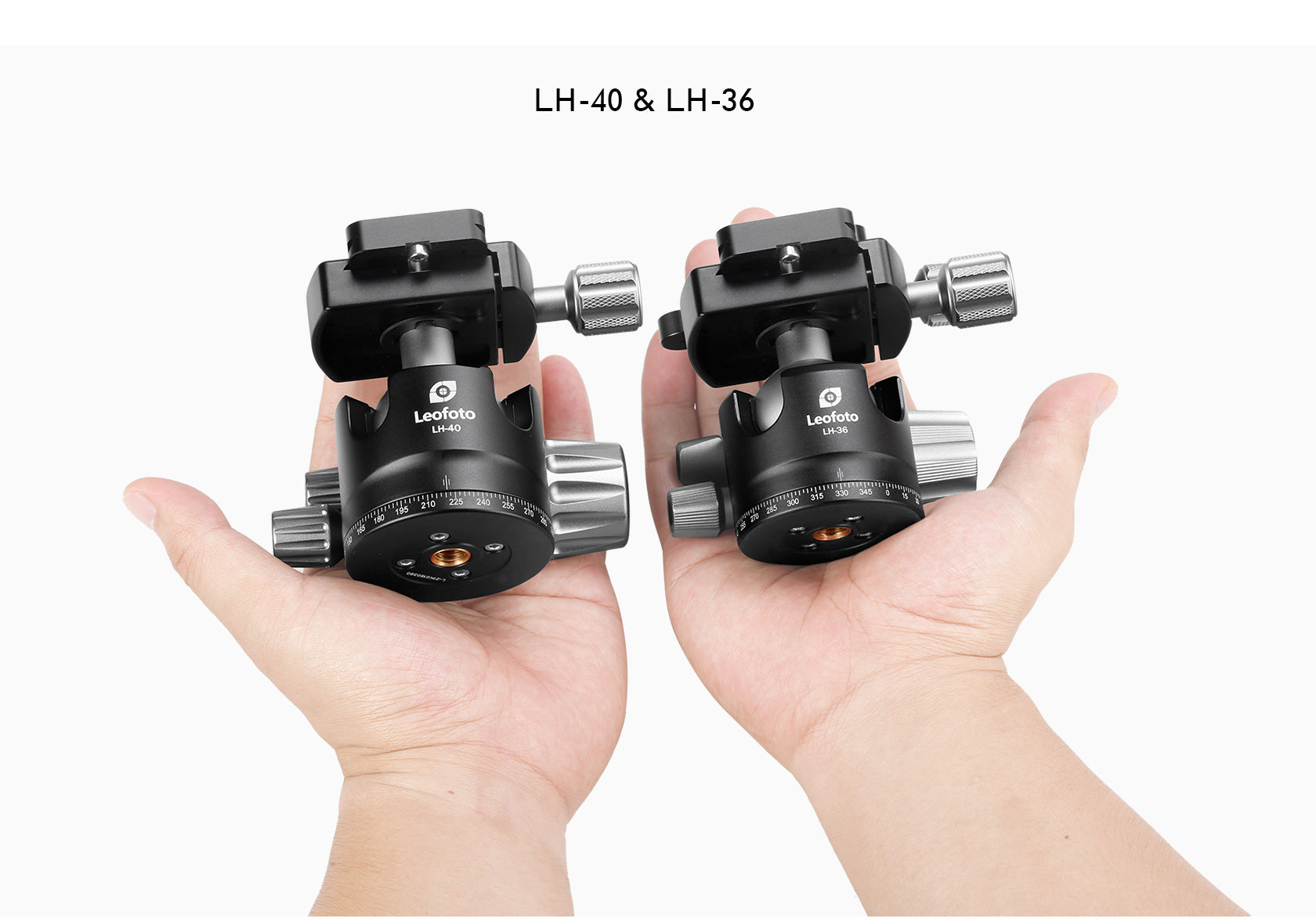 Leofoto LH-36 Low Profile Ball Head + QR Plate | Arca Compatible