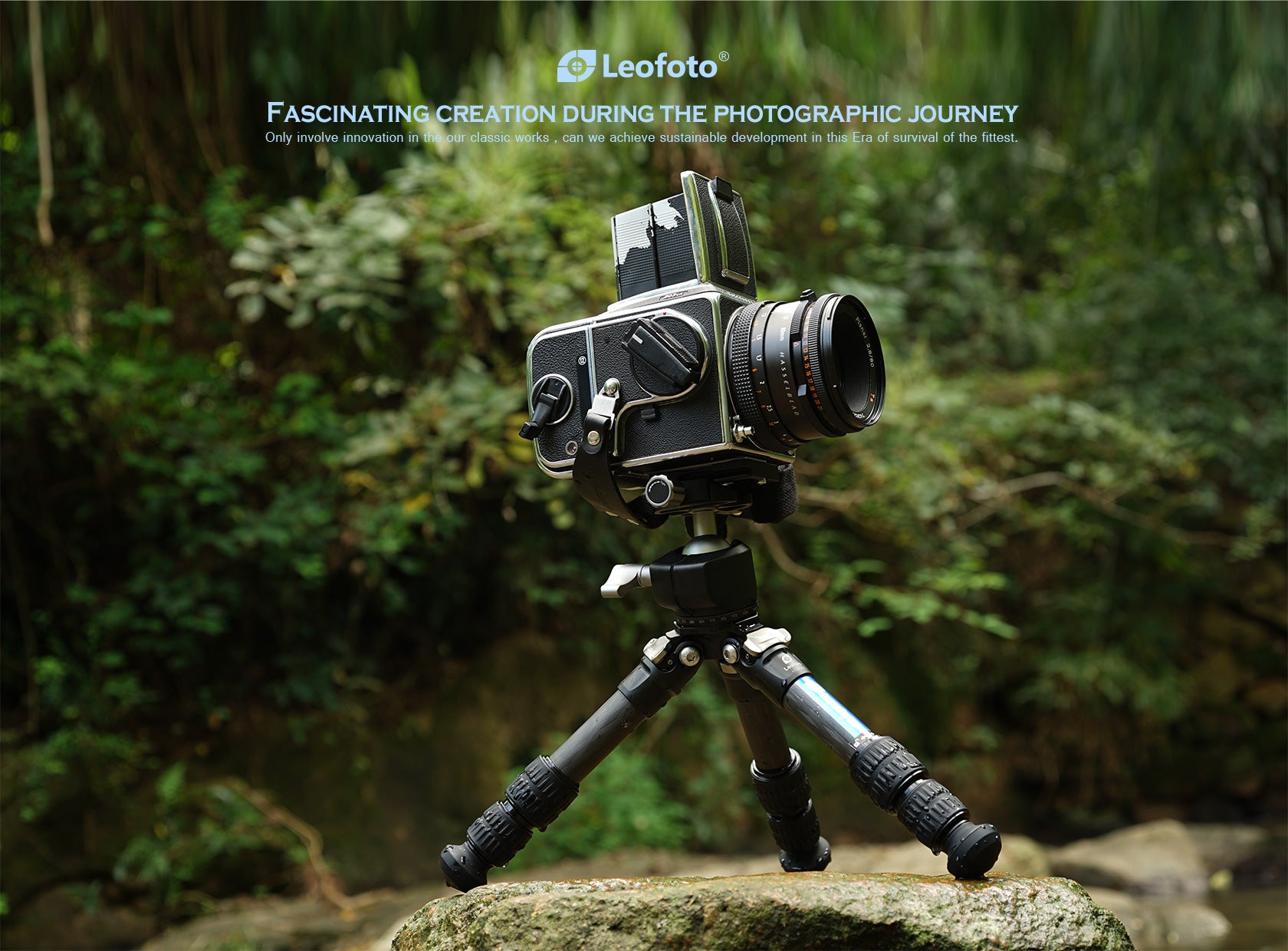 Leofoto LS-223C Tripod + LH-25 Ball Head Mini Professional Light Weight Carbon Fiber Tripod Kit