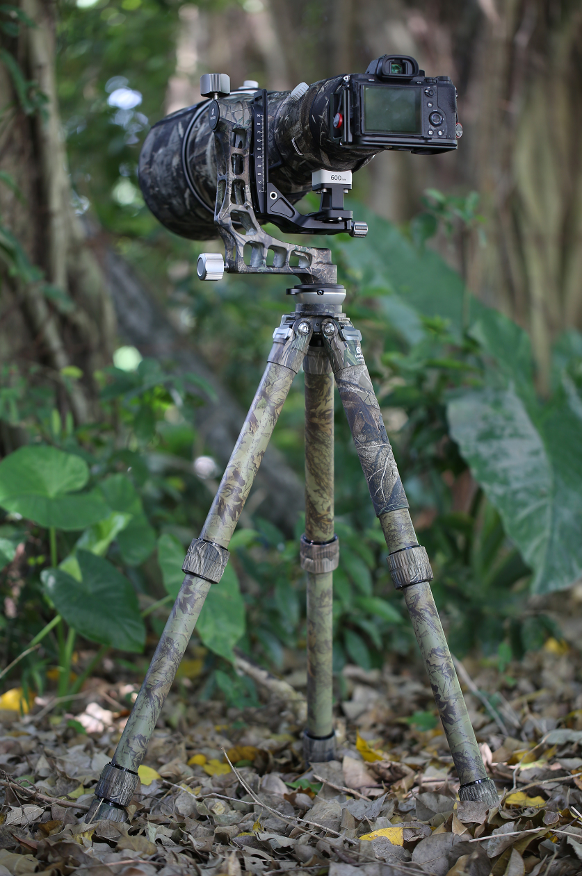 Wildlife Photography Best Monopod 2020 15+ Thousand Monopod
