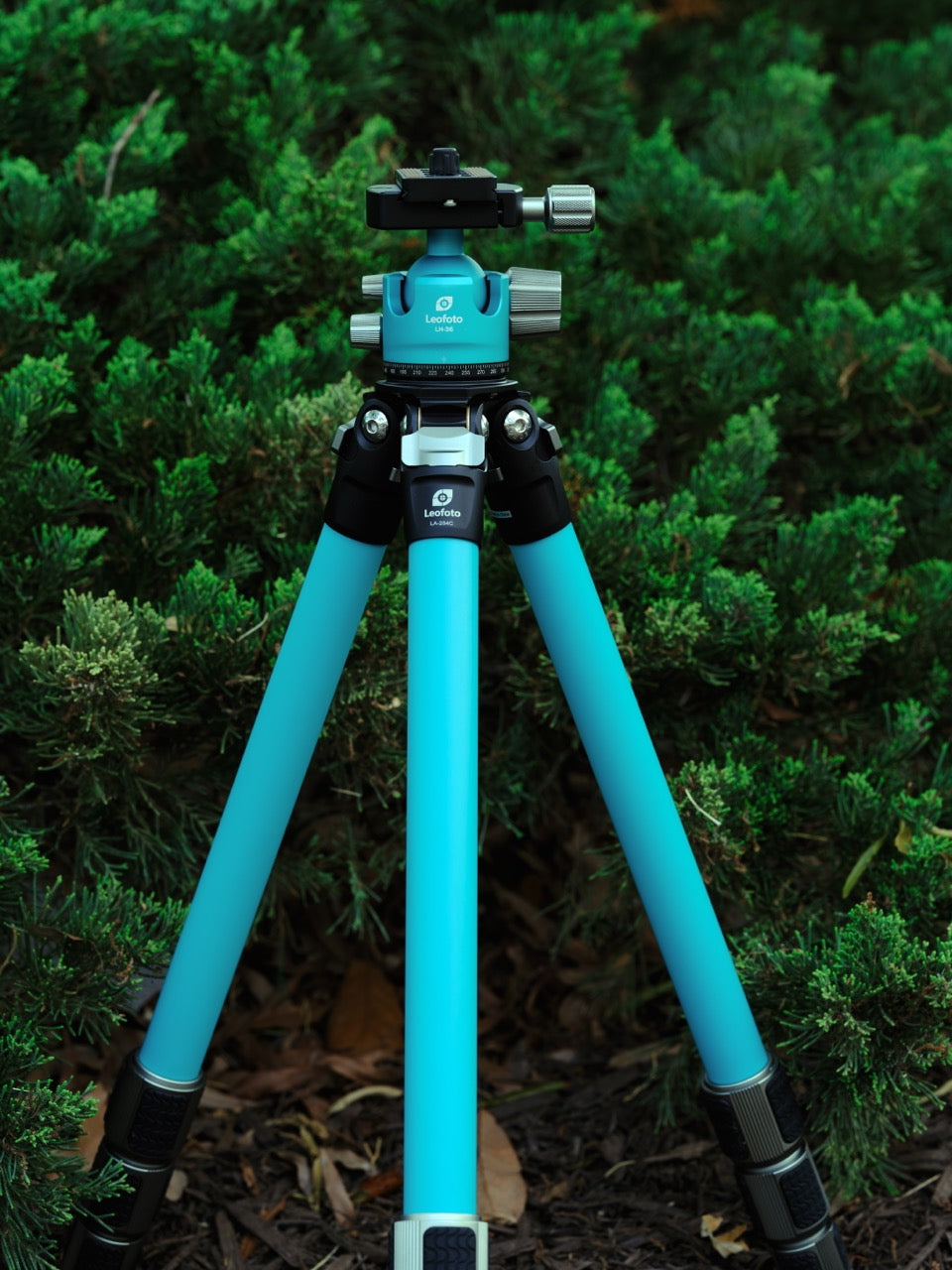 Leofoto LA-284C+LH-36 (Limited Edition Orange/Teal) Ocean Tripod with