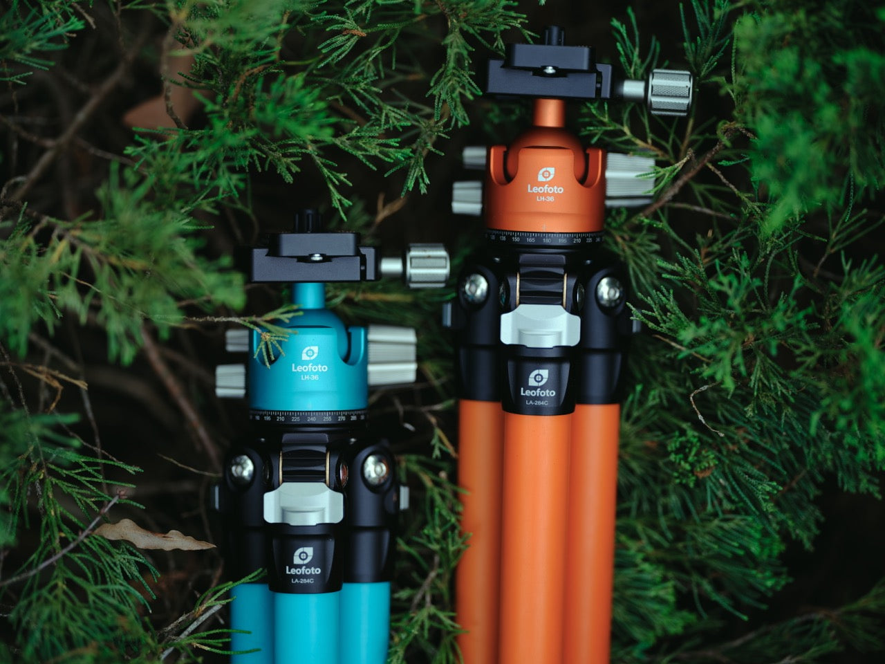 Leofoto LA-284C+LH-36 (Limited Edition Orange/Teal) Ocean Tripod with