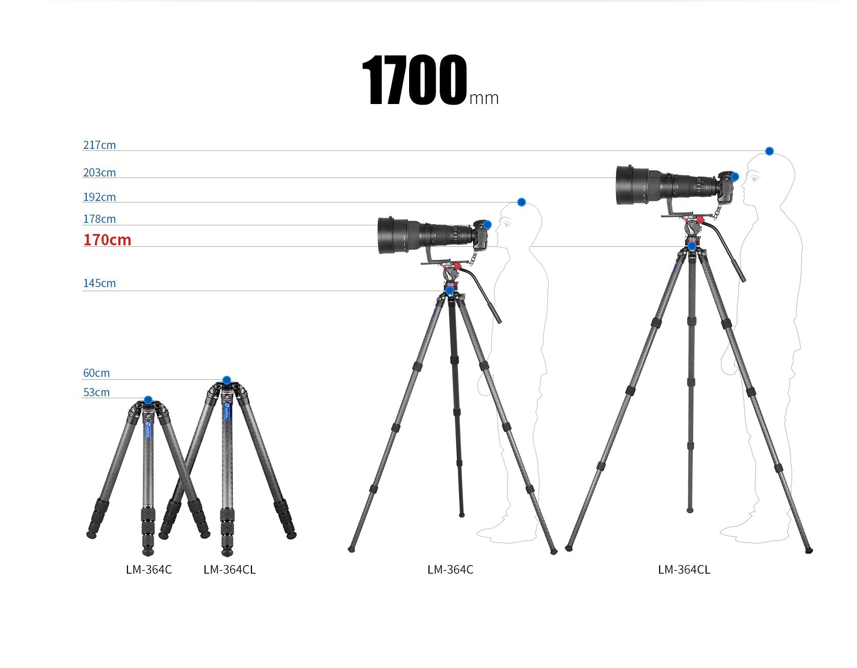 “Open Box" Leofoto LM-364CL Long Tripod with 75mm Video Bowl and Bag